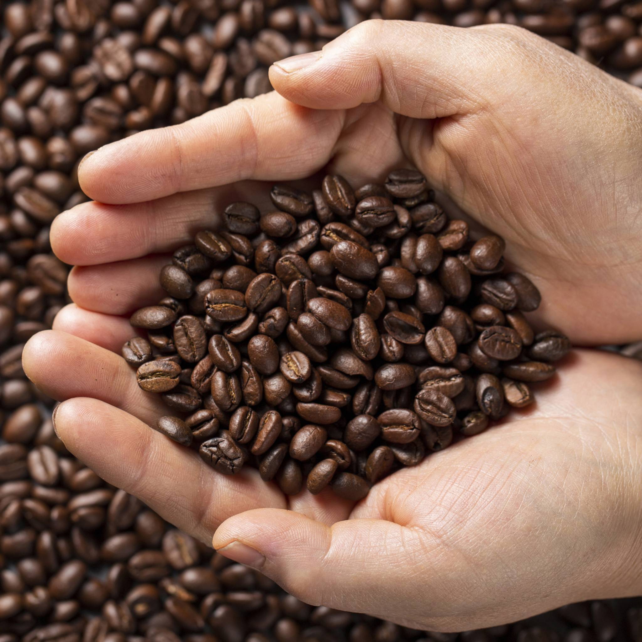 Araku Valley Roasted Coffee Beans image 2